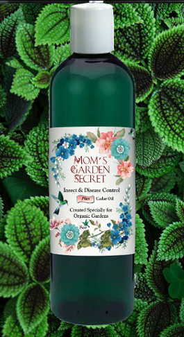 8 oz Insect and Disease Control Bottle